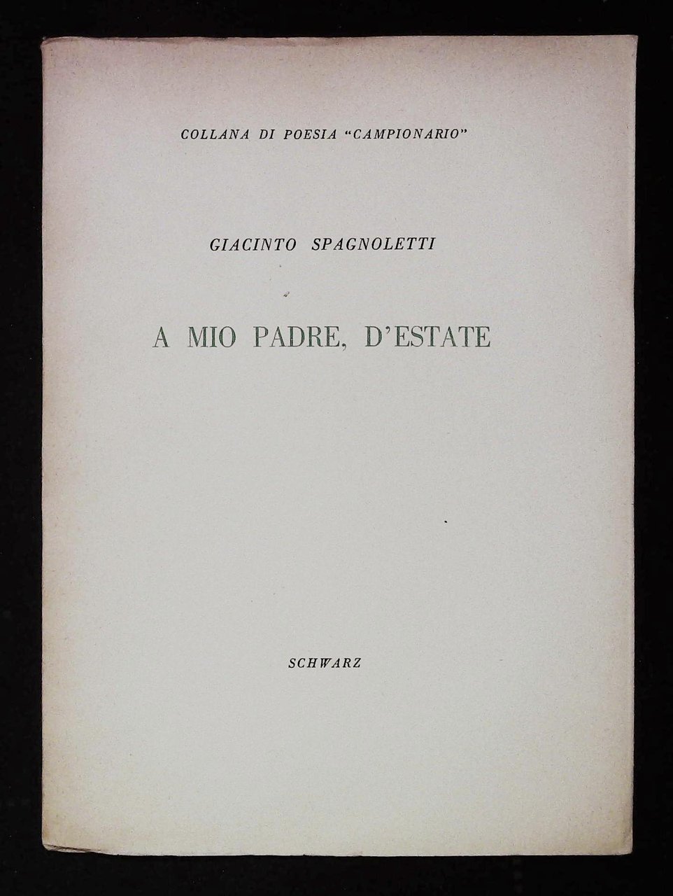 A mio padre, d'estate | Immagine principale