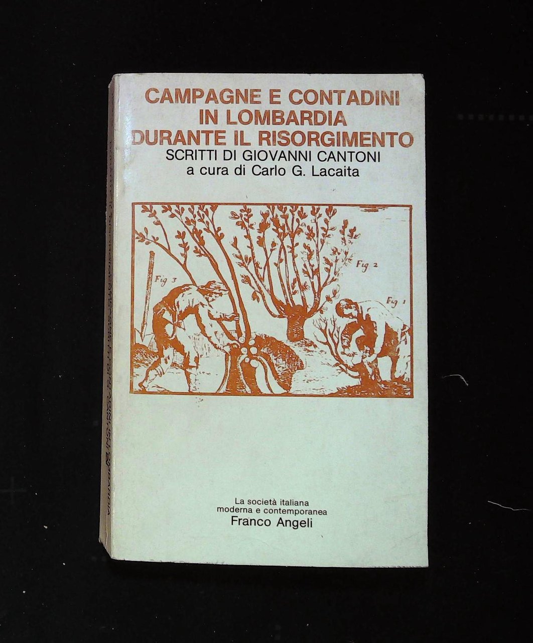 Campagne e contadini in Lombardia durante il Risorgimento | Immagine principale