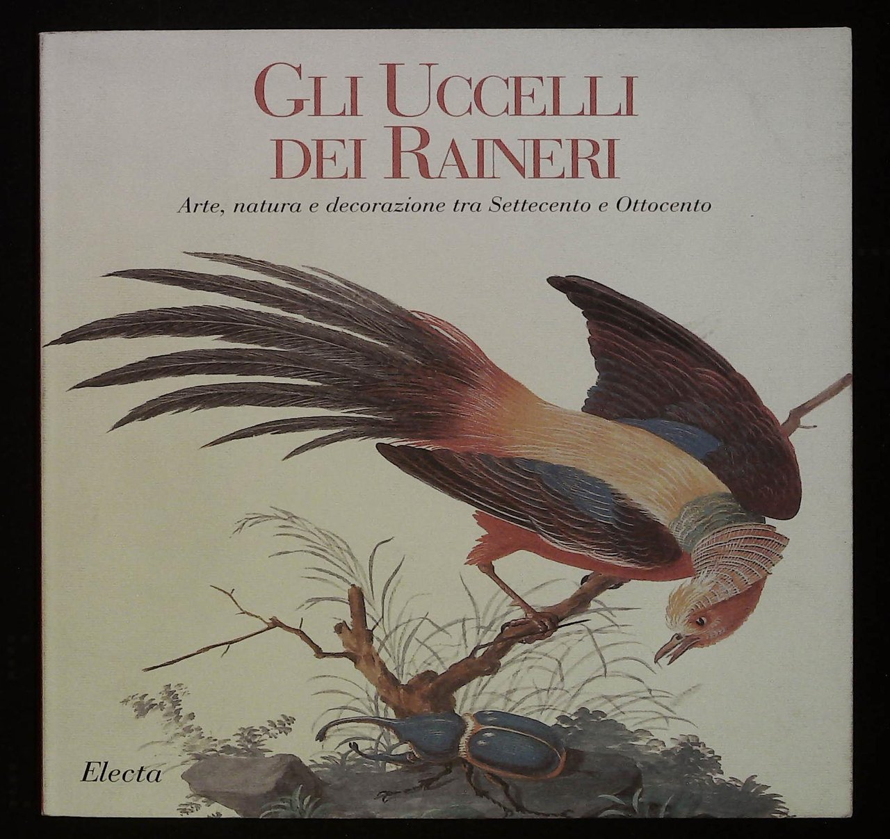 Gli Uccelli dei Raineri. Arte, natura e decorazione tra Settecento …