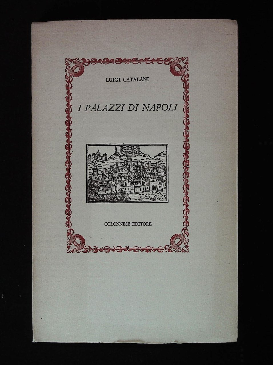 I palazzi di Napoli