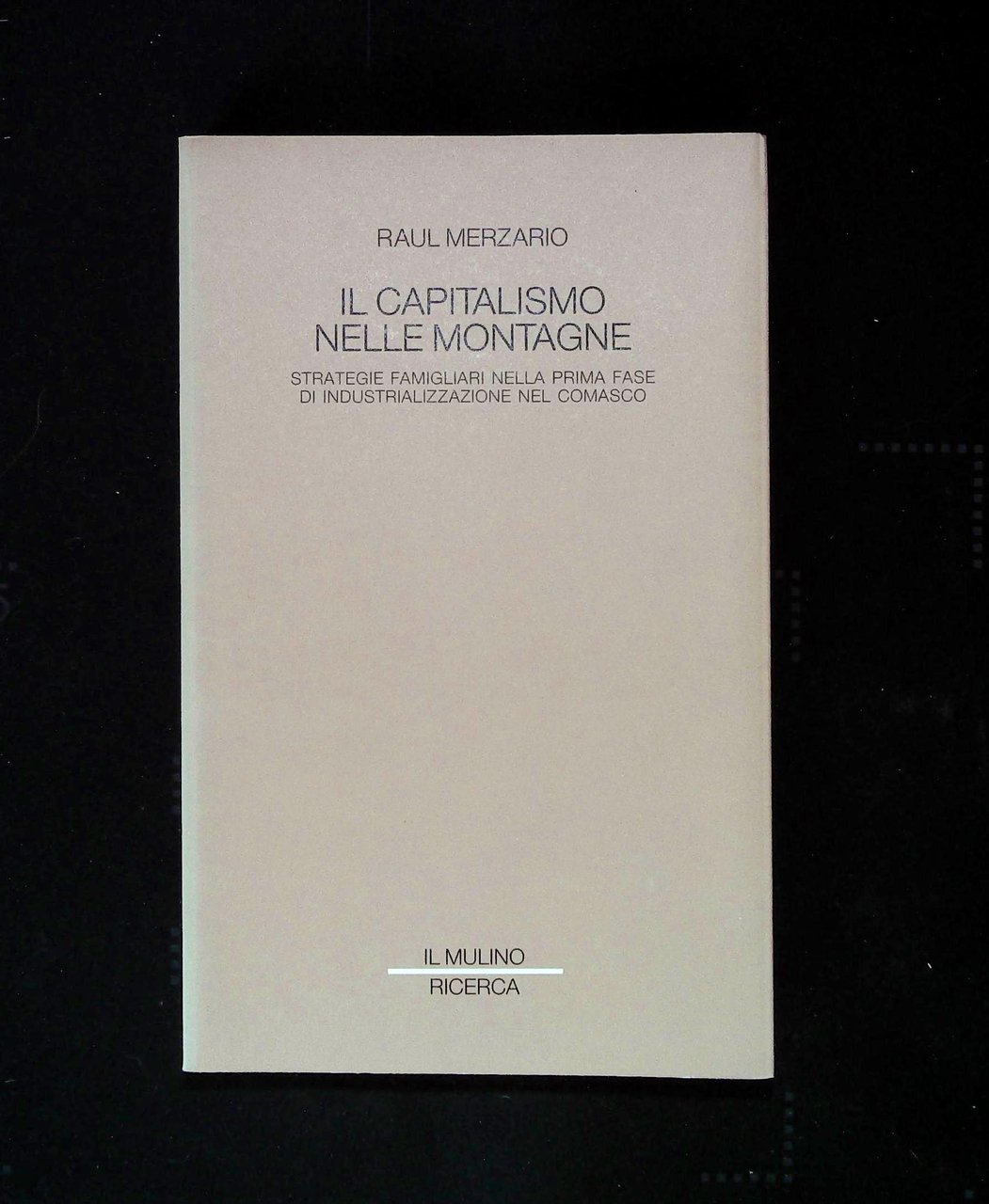 Il capitalismo nelle montagne. Strategie famigliari nella prima fase di … | Immagine principale