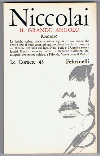 Il grande angolo