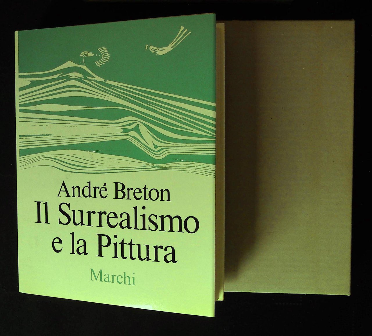 Il Surrealismo e la Pittura
