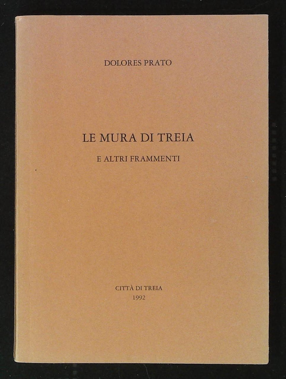 Le mura di Treia e altri frammenti