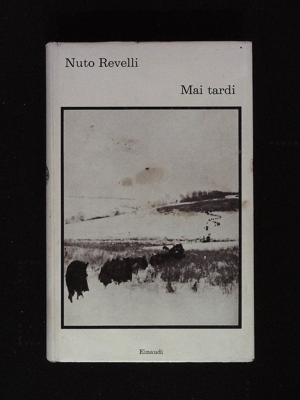 Mai tardi. Diario di un alpino in Russia