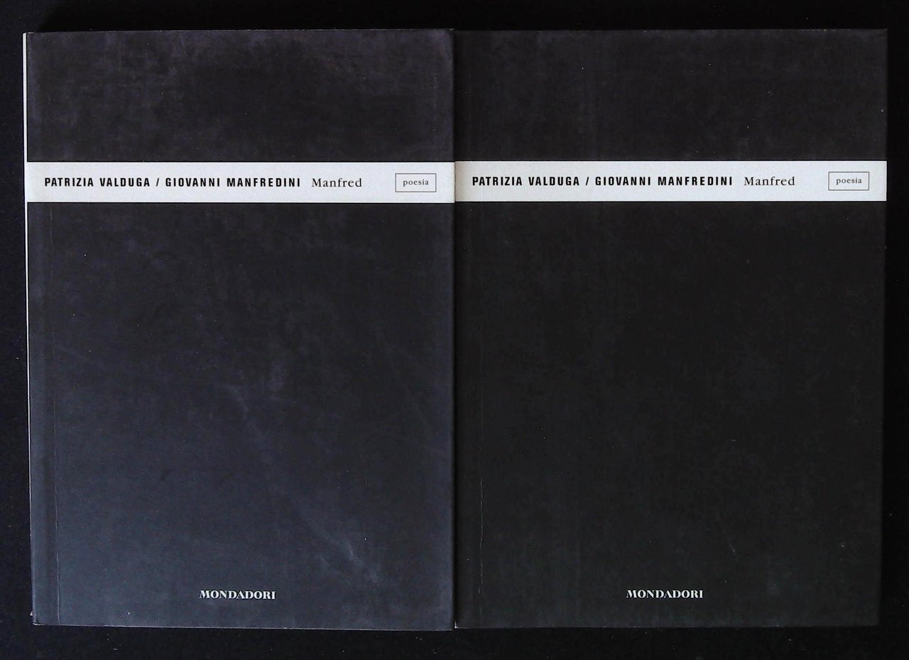 Manfred. Due volumi identici | Immagine principale
