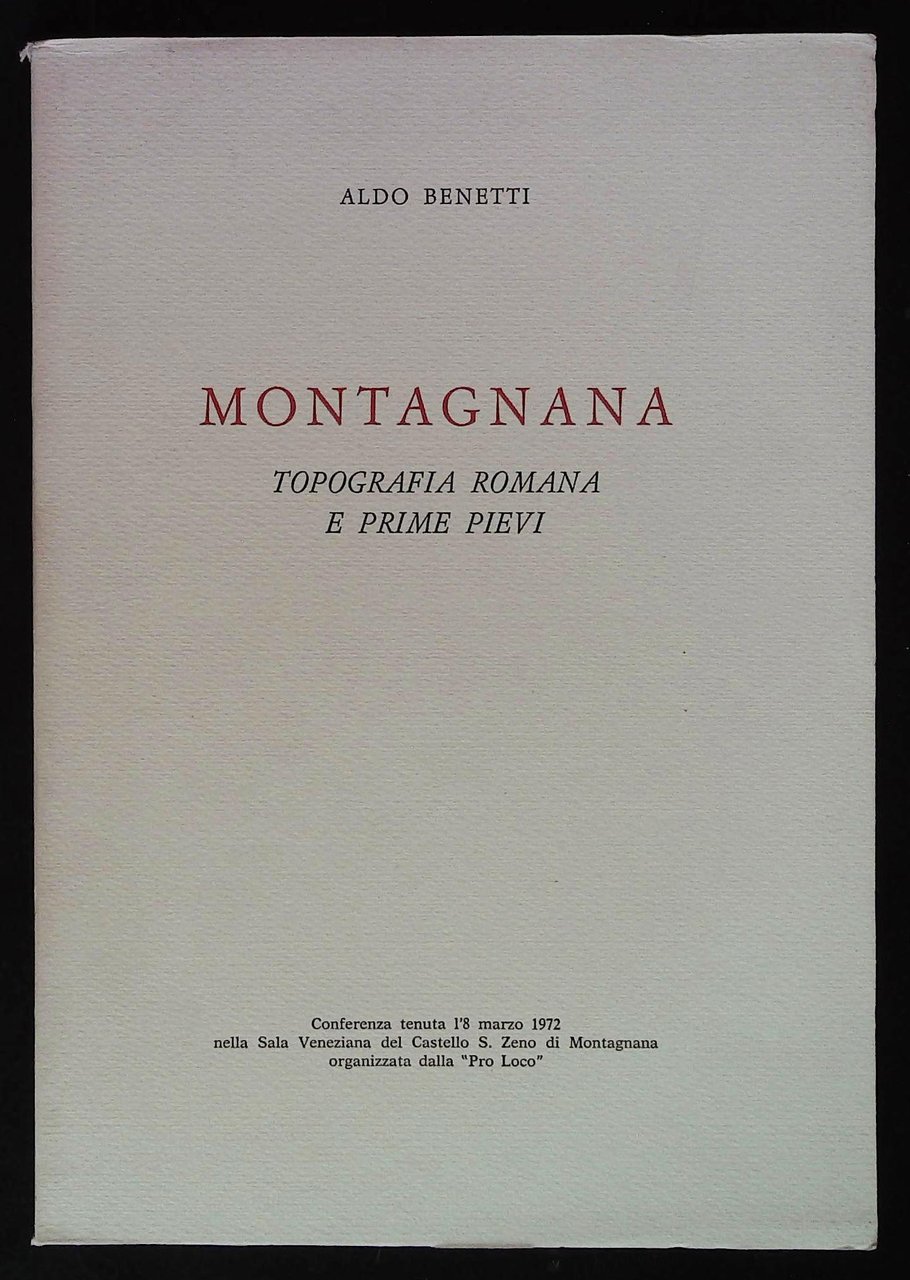 Montagnana. Topografia romana e prime pievi | Immagine principale