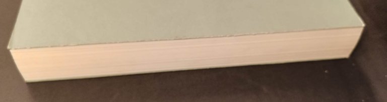 Risvegli e prodigi. La metamorfosi del gotico