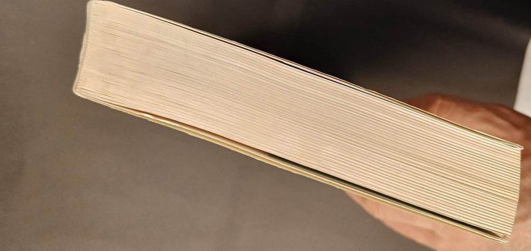 Risvegli e prodigi. La metamorfosi del gotico