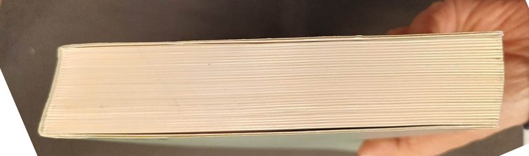 Risvegli e prodigi. La metamorfosi del gotico