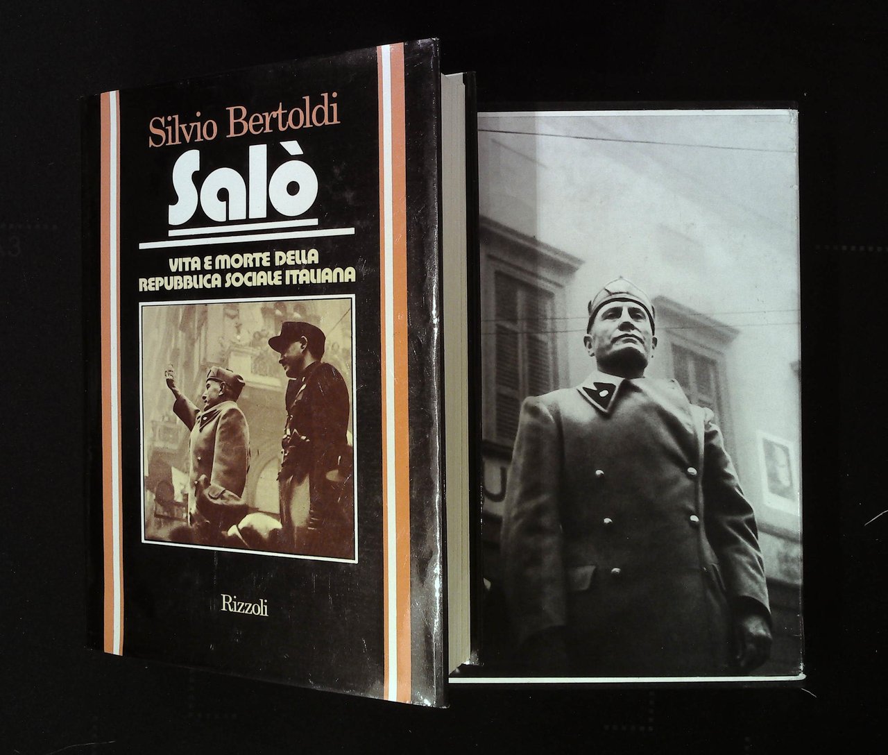 Salò. Vita e morte della Repubblica Sociale Italiana