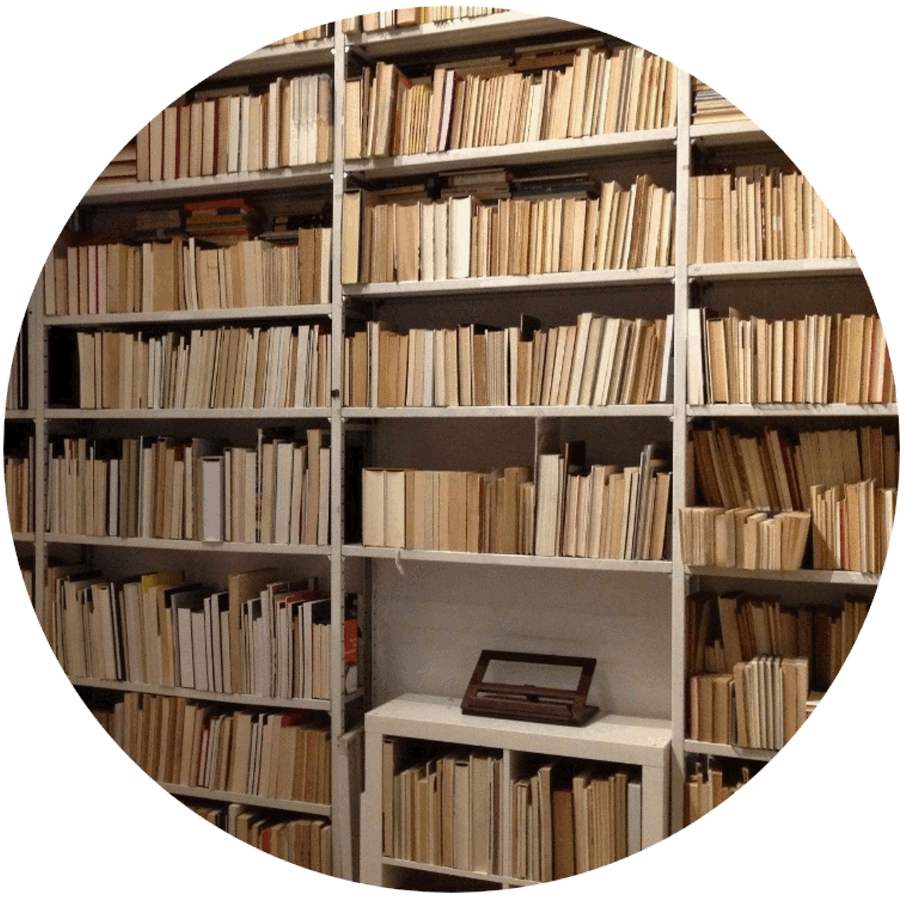 Seveso una tragedia italiana. Il fatto la foto