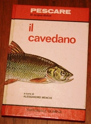 Il Cavedano