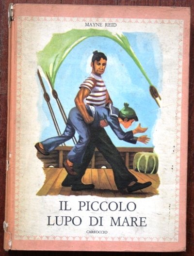 Il piccolo lupo di mare