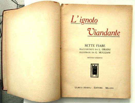 l ' ignoto viandante