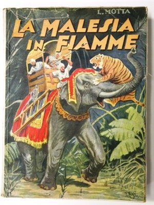 La malesia in fiamme