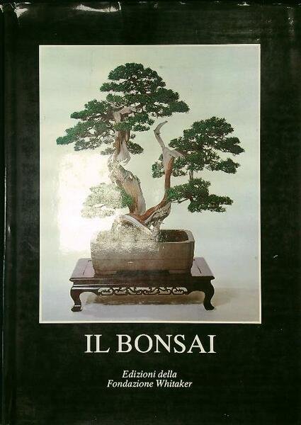 Il bonsai | Immagine principale