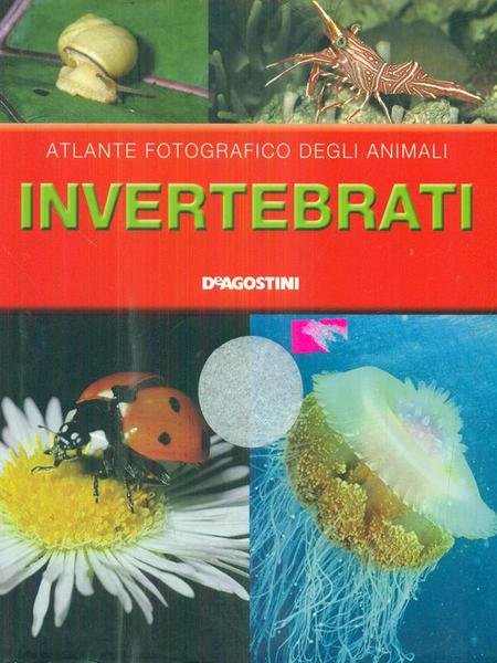 Invertebrati
