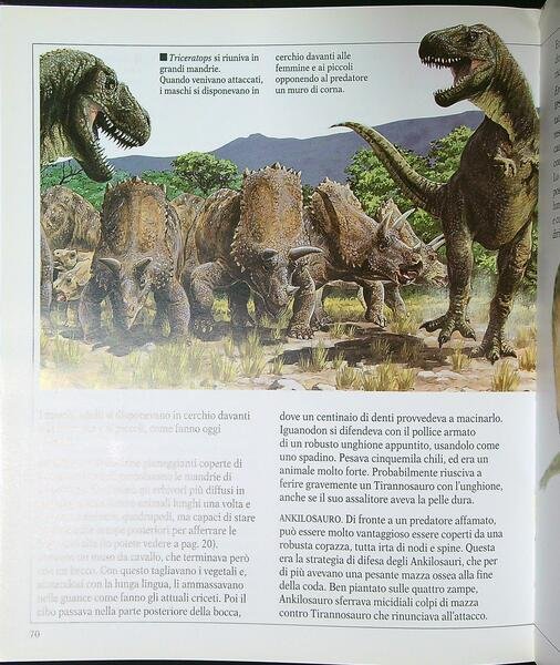Nel mondo dei dinosauri