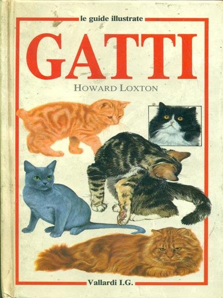 Gatti | Immagine principale