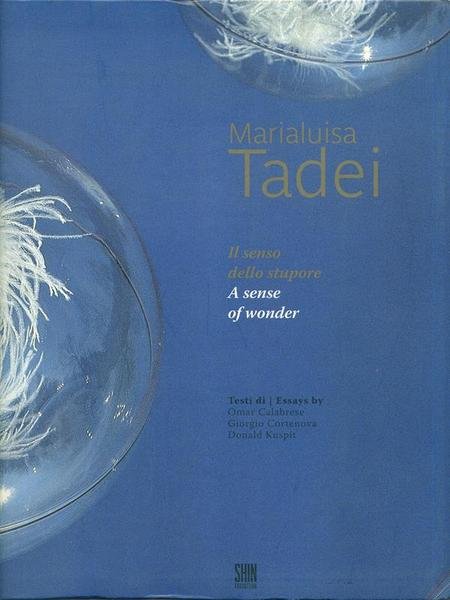 Il senso dello stupore. A sense of wonder | Immagine principale