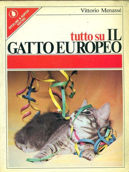 Tutto su il gatto Europeo | Immagine principale