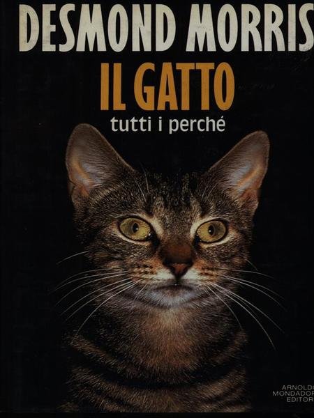 Il Gatto. Tutti i perche'