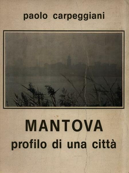 Mantova profilo di una citta'