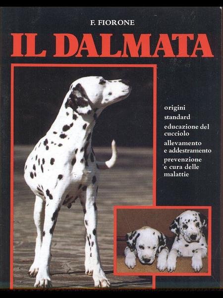 Il dalmata