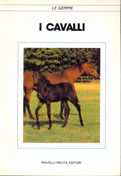 I cavalli