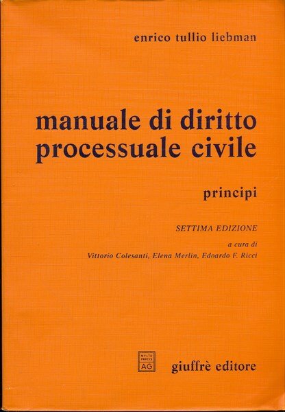 Manuale di diritto processuale civile. Principi