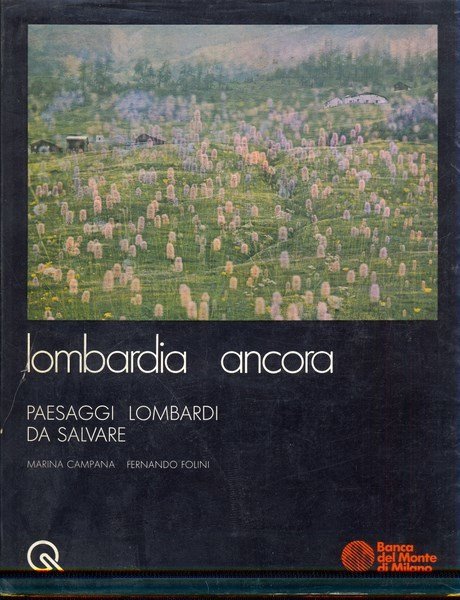 Lombardia ancora | Immagine Gallery 1
