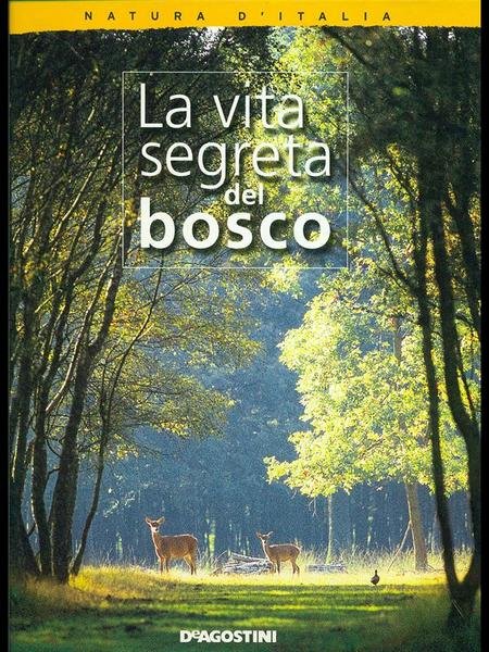 La vita segreta del bosco
