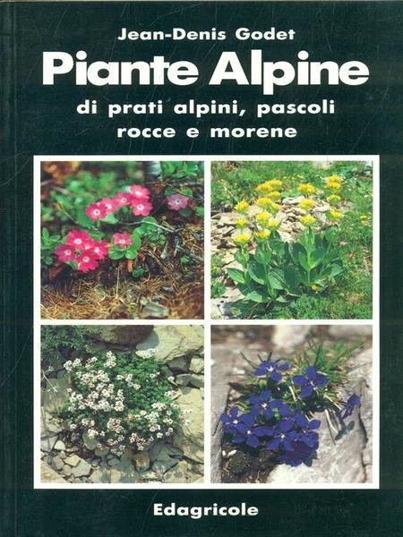 Piante Alpine | Immagine principale