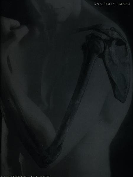 Anatomia umana