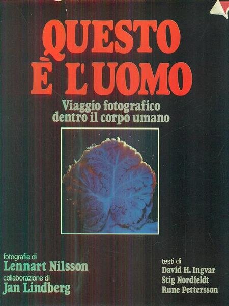 Questo e' l'uomo | Immagine principale