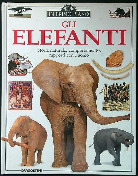 Gli elefanti