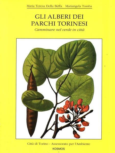 Gli alberi dei parchi torinesi