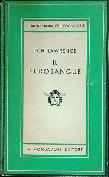 Il purosangue