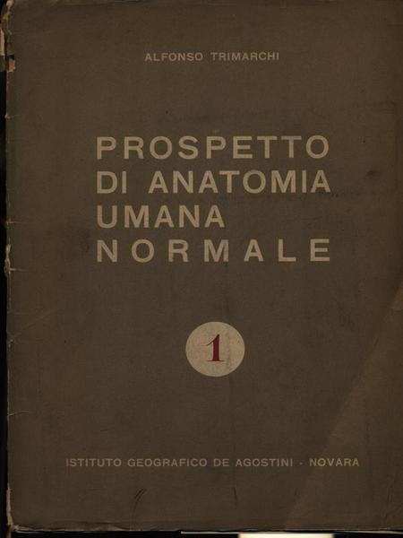 Prospetto di anatomia umana normale