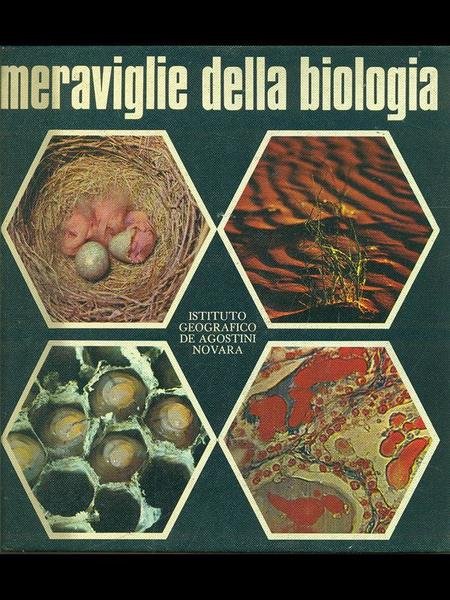 Meraviglie della biologia