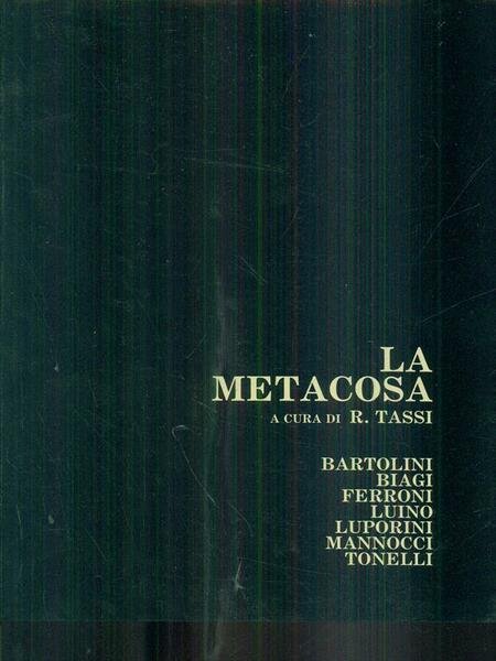La metacosa