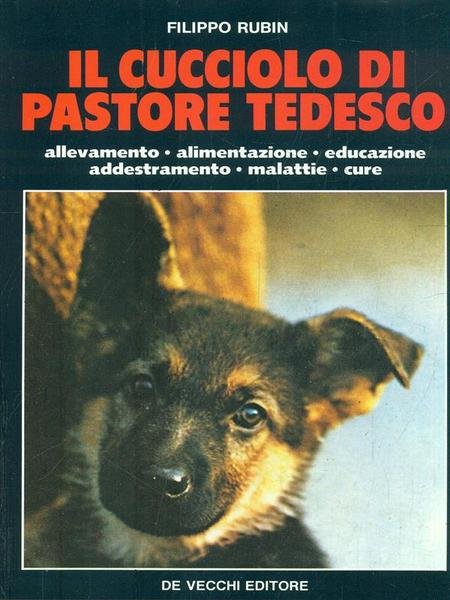 Il cucciolo di Pastore Tedesco | Immagine principale