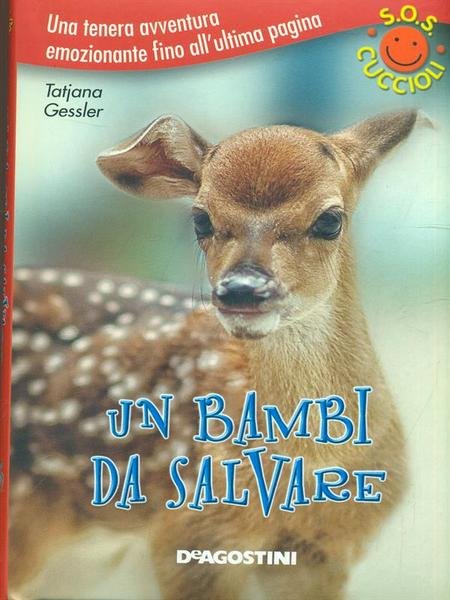 Un bambi da salvare