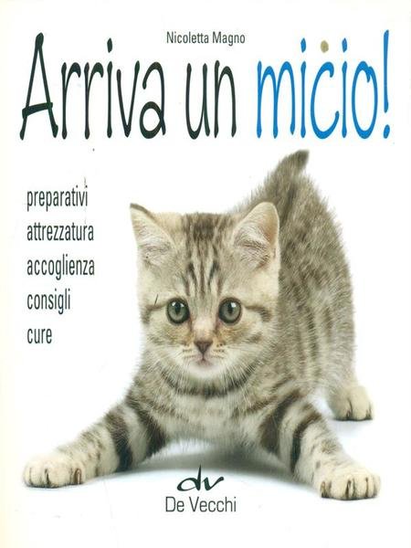 Arriva un micio! | Immagine principale
