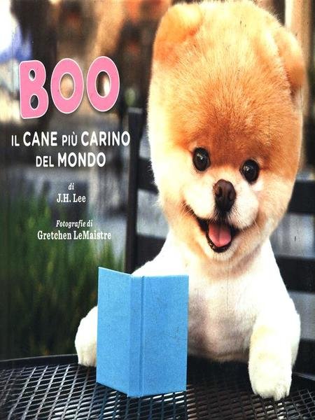 Boo il cane piu' bello del mondo