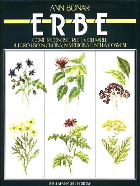Erbe