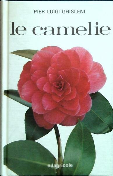 Le camelie | Immagine principale