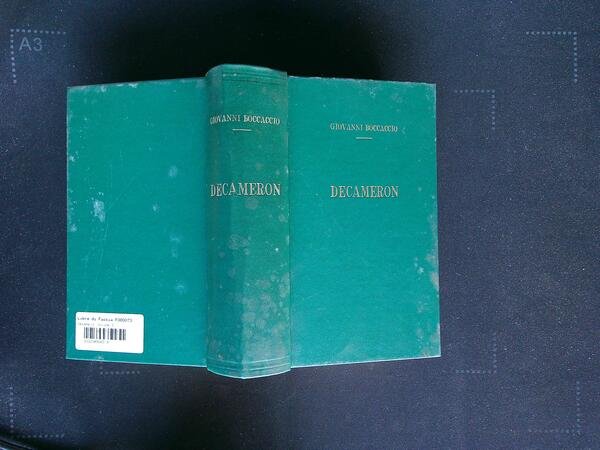 Decameron Volume I
