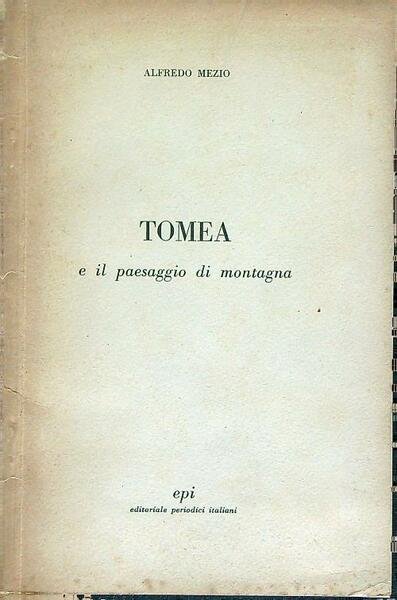 Tomea e il paesaggio di montagna | Immagine Gallery 1